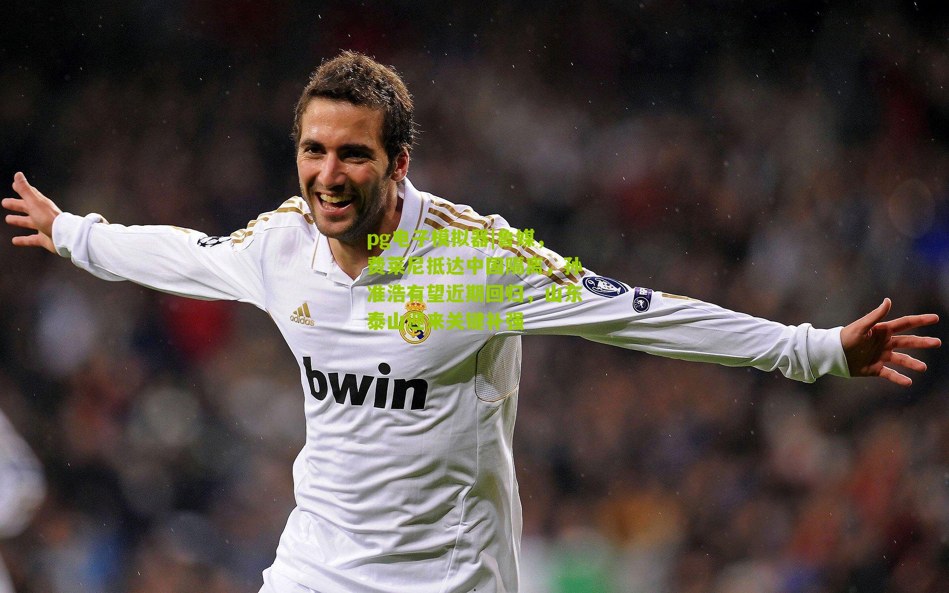 pg电子模拟器|鲁媒，费莱尼抵达中国隔离，孙准浩有望近期回归，山东泰山迎来关键补强