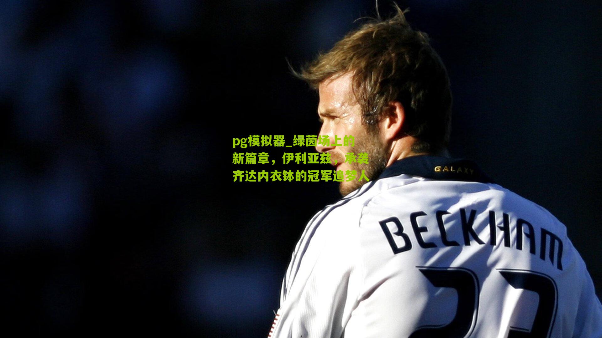 绿茵场上的新篇章，伊利亚兹，承袭齐达内衣钵的冠军追梦人