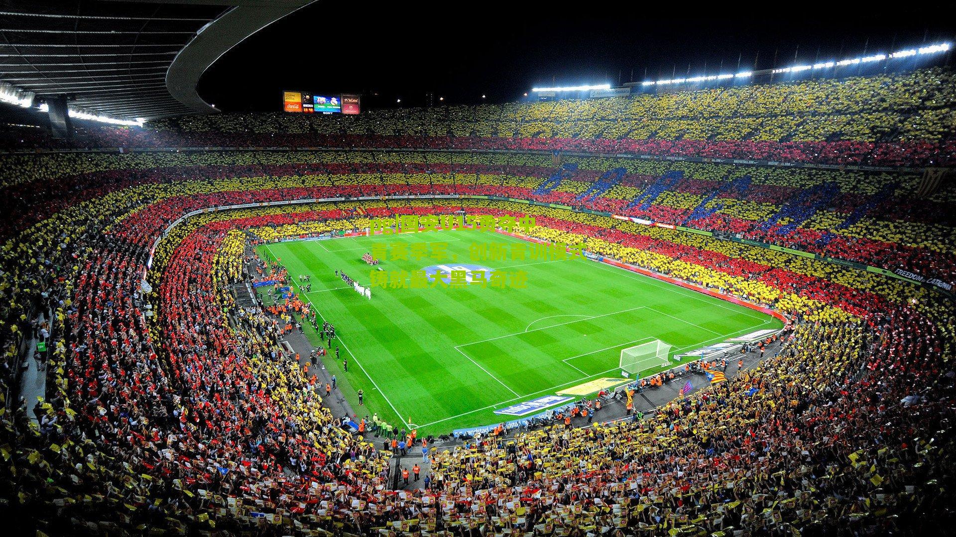 pg|国安U15勇夺中青赛季军，创新青训模式铸就最大黑马奇迹